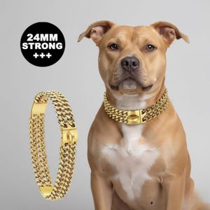 Pitbull Cuban Link Collar - Etsy