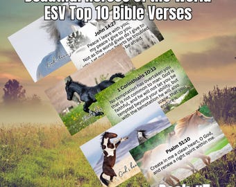 Horse Lover Design Scriptures: ESV Bible Verse Pack, 300 DPI (Digital Download)