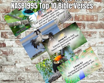 Colorful Birds Scripture Cards: NASB1995 Bible Verse Cards (Digital Download)
