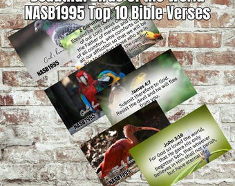 Bird Collection Bible Verse Art: NASB1995 Scripture Pack, 300 DPI (Digital Download)