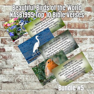 May include: A collection of cards featuring images of birds and Bible verses. The cards are arranged on a brick wall background. The text on the cards includes "Beautiful Birds of the World" and "NASB1995 Top 10 Bible Verses."