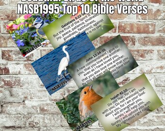 Bird Scriptures Pack: NASB Bible Verse Cards, 300 DPI (Digital Download)