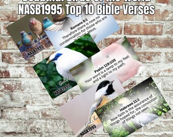 Feathered Friends Scripture Art: Bird Bible Verse Art, 300 DPI (Digital Download)