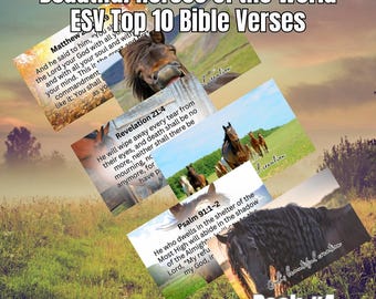 Horse Scriptures 10-Pack: Equestrian Bible Verse Cards, 300 DPI (Digital Download)