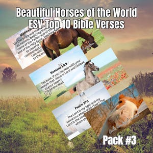 Op de afbeelding: Een verzameling afbeeldingen met paarden en bijbelverzen. De tekst "Beautiful Horses of the World" en "ESV Top 10 Bible Verses" staat bovenaan. Afzonderlijke afbeeldingen bevatten paardenfoto's en bijbelverzen.