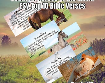 Horse Scripture Cards: ESV Bible Verses, Equestrian Gift, 300 DPI (Digital Download)