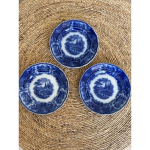 Antique Flow Blue Plates