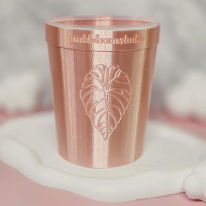 4" 3D Printed Leaf Stenciled Self-Watering Pot