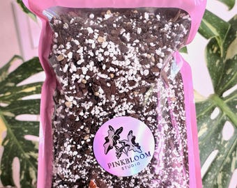 PREMIUM ALOCASIA SUBSTRATE | Soilless | Semi-Hydro | 1 Quart