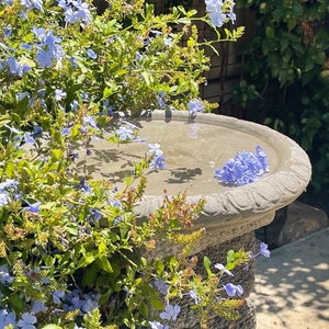 LARGE ROUND BIRDBATH (4 Color Options): Durable Solid Stone Shallow Bird Bath Feeder. Sealed for Outdoors. Holds Water! Handcrafted U.S.A