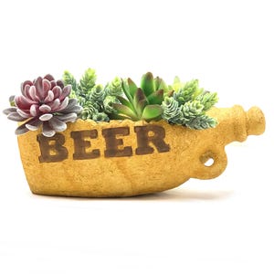 May include: A tan, beer bottle-shaped planter with the word "BEER" in brown lettering. The planter is filled with a variety of green and purple succulents. The bottle has a handle and a textured surface.