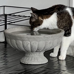 VINTAGE BIRDBATH or URN (4 Color Option): Durable Solid Stone Vessel or Pet Bowl. Holds Water. Sealed for Outdoor Use! Handcrafted U.S.A