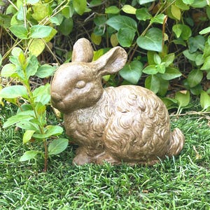 May include: A brown, textured rabbit figurine in a seated position with long ears, a rounded body, and a small tail. The surface of the rabbit has a weathered, matte finish with visible sculpted fur details across its back and sides.