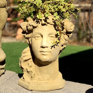 May include: A beige, sculpted head planter in the shape of a classical woman's face. The planter is filled with green and red-tinged succulents. The head has detailed facial features and curly hair. The planter is sitting on a stone surface.