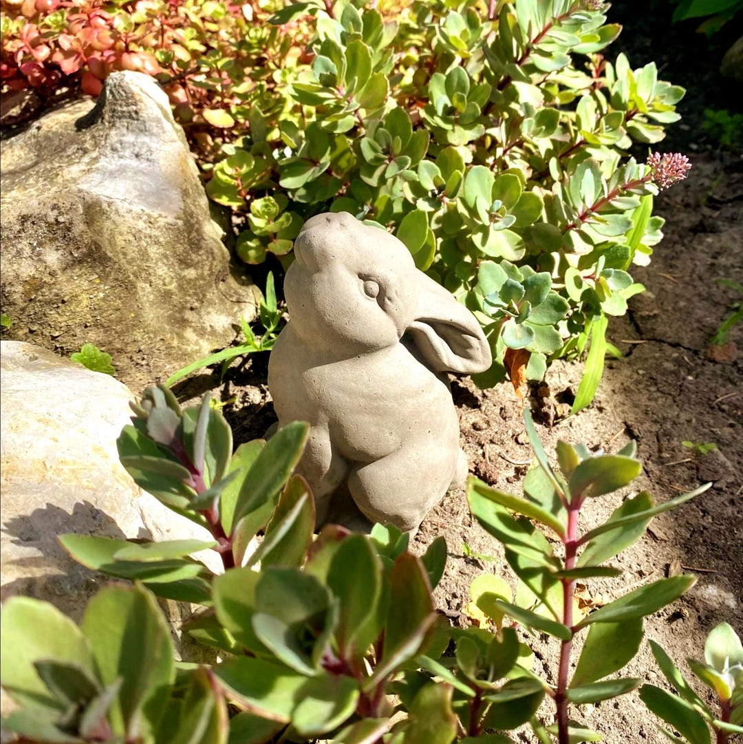 STARGAZER BUNNY STATUE (4 Color Option): Durable Solid Stone Rabbit ...