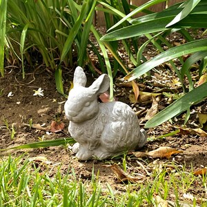 May include: A light gray, textured garden statue of a sitting rabbit with upright ears and detailed fur markings. The sculpture is positioned on bare soil, surrounded by green grass and foliage, capturing the animal in a resting pose.