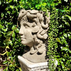 May include: A light gray stone-colored planter shaped like a human head with snakes sculpted into the hair. The planter features a detailed facial profile and rests on a square pedestal base, containing green trailing foliage and leafy plants.