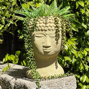 BUDDHA HEAD PLANTER (Size & Color Options): Solid Stone Flower Pot. Unique Home Decor Garden Accent. Sealed for Outdoors. Handcrafted U.S.A