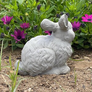 May include: A light gray concrete rabbit sculpture with textured fur detailing, long ears, and a rounded body, positioned in a garden setting. The rabbit is depicted in a seated, resting pose, showcasing a smooth, solid material finish.