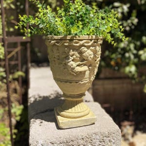 May include: A beige stone-colored urn planter featuring a relief design of birds and foliage on the exterior. The vessel has a flared rim with a braided texture, a tapered body, and a square base, filled with a vibrant green leafy plant.