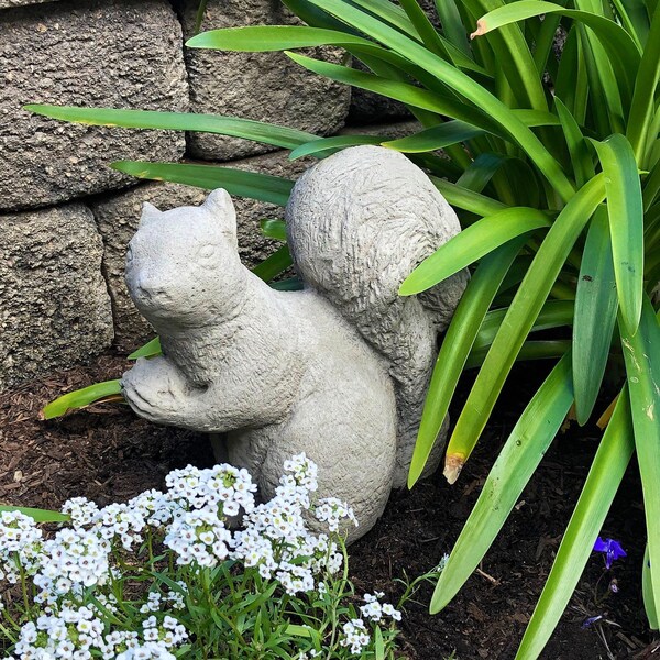Large Squirrel Statue Etsy