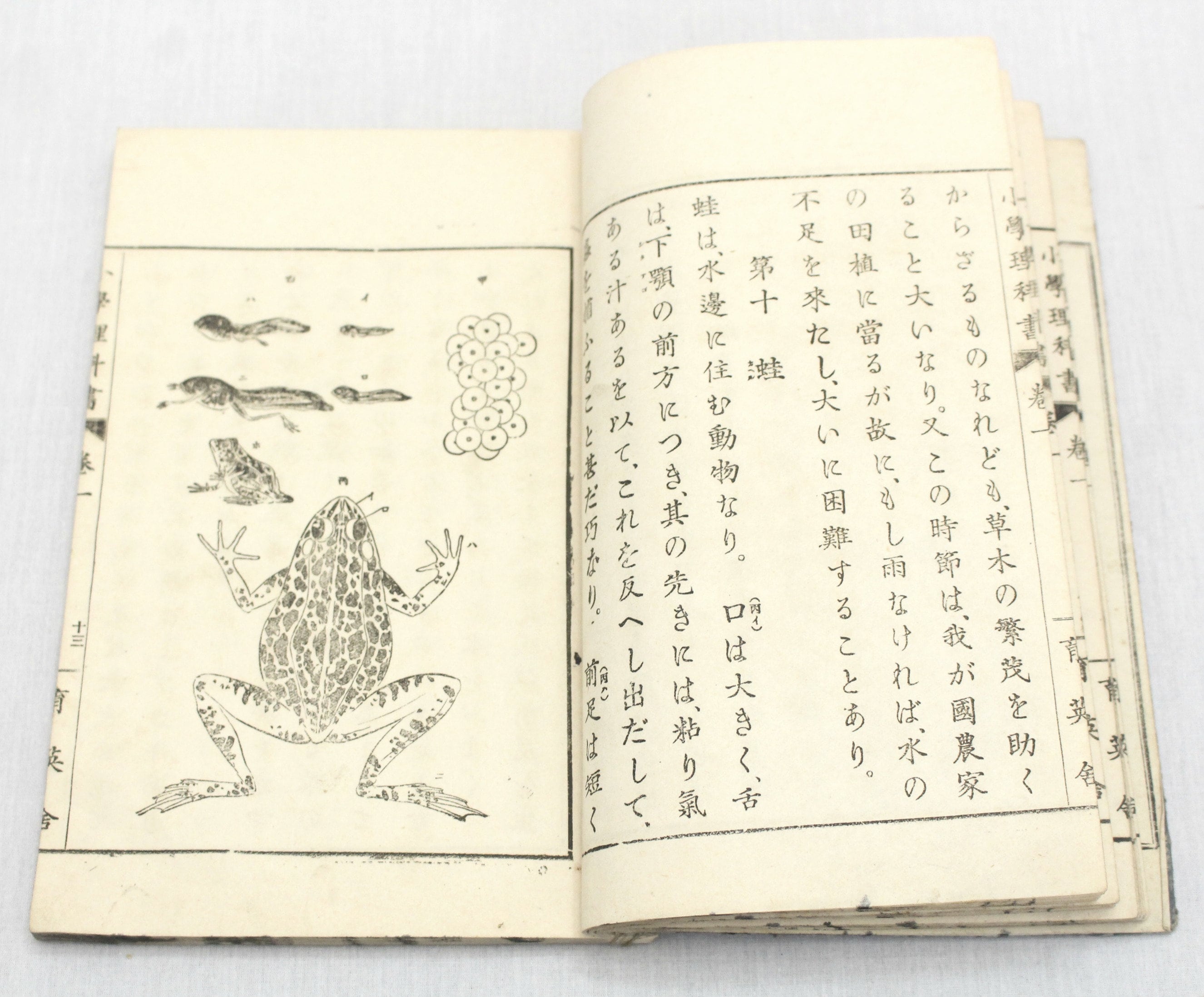 Antique Japanese Book on Japanese History Meiji Era. Supply Paper. Kanji  (Ref: 399)