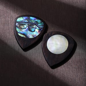 May include: Two guitar picks with dark wood bodies. One pick features a colorful abalone inlay, displaying shades of blue, green, and purple. The other pick has a white, pearlescent inlay. The picks are set against a dark, textured background.