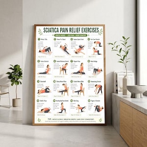 May include: A vertical poster titled Sciatica Pain Relief Exercises featuring sixteen numbered illustrations of a person performing various stretches and movements, with descriptive text for each exercise and a tip at the bottom.