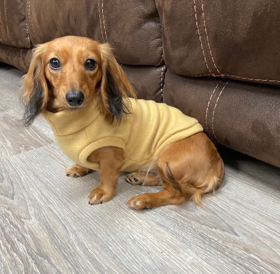 Tan Mini Dachshund Fleece Sweater measurements in Item Description