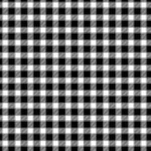 Timeless Treasures Sunflower Collection Small Buffalo Check Quilting Cotton Fabric- Black