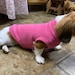 see more listings in the Doggie Clothes section