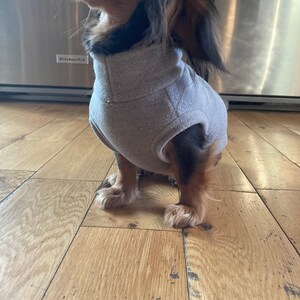 Gray Mini Dachshund Fleece Sweater measurements in item description image 2