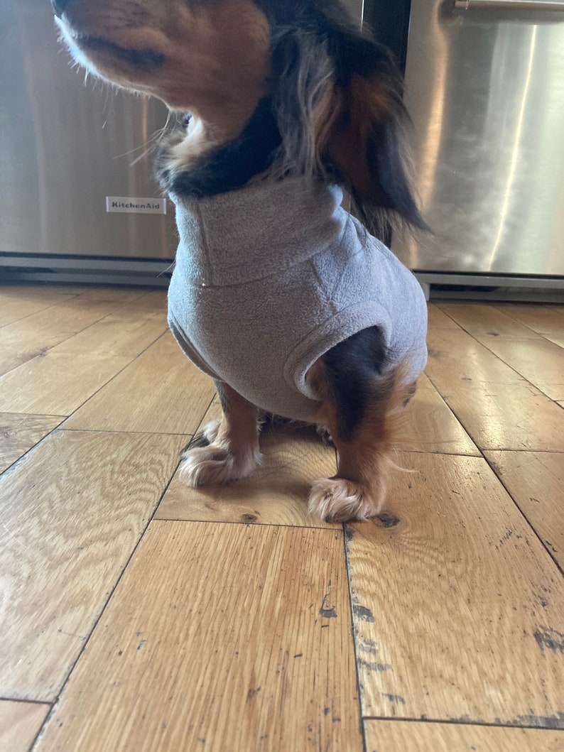 Gray Mini Dachshund Fleece Sweater measurements in Item Etsy UK