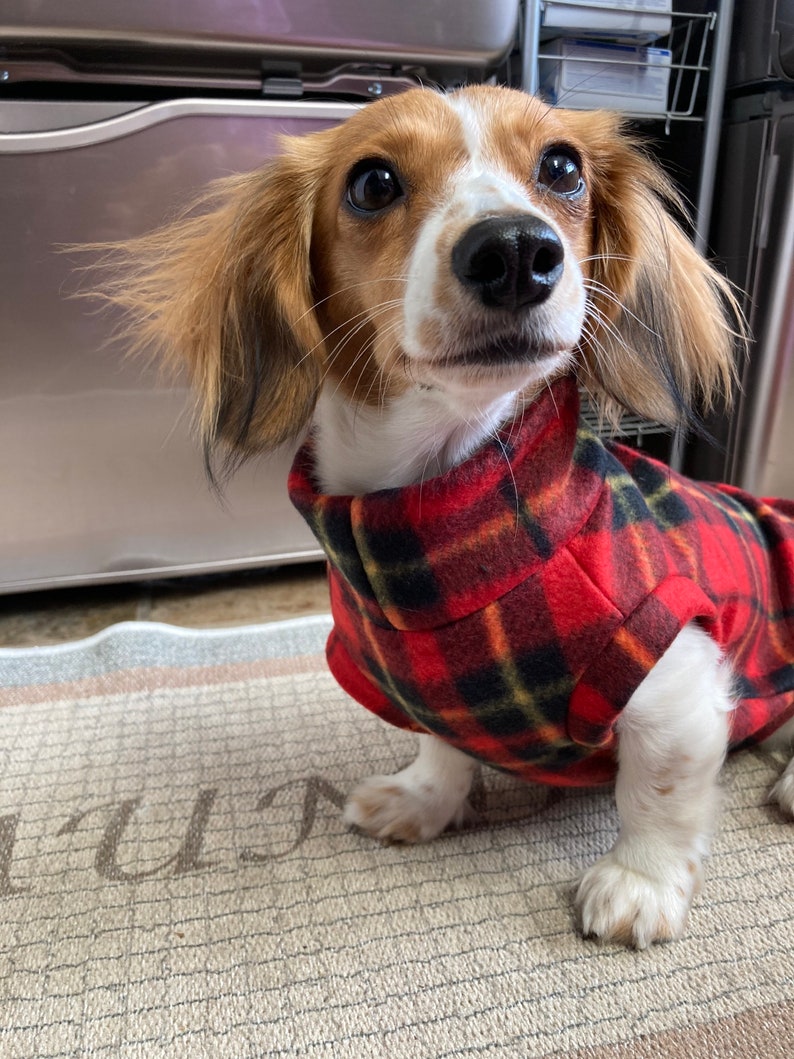 Miles Red Plaid Mini Dachshund Fleece Sweater measurements in Etsy