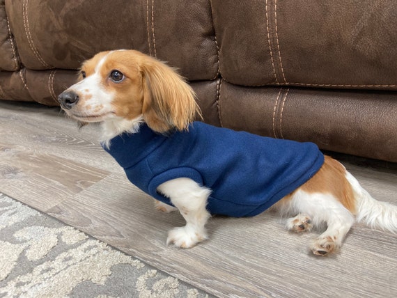Etsy dachshund best sale sweater