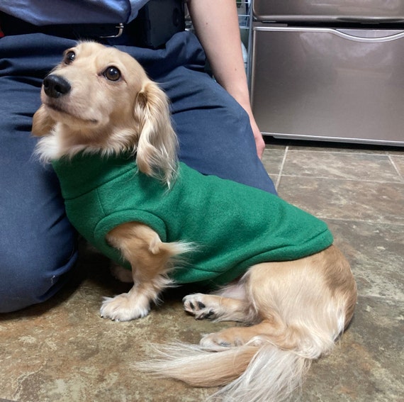 Etsy 2025 dachshund sweater