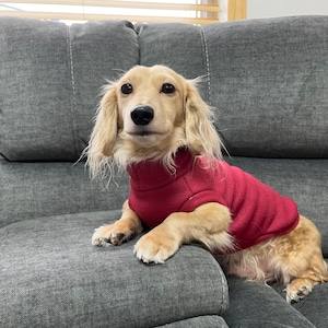 Burgundy/ Maroon Mini Dachshund Fleece Sweater (measurements in item description)