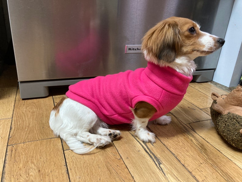 Purple Mini Dachshund Fleece Sweater measurements in Item Etsy