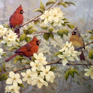 Cardinals  and  Apple Blossoms Panel (35.5&quot;x44&quot;) Quilting Cotton Fabric