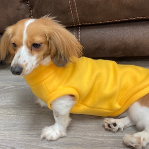 Gold Color Mini Dachshund Fleece Sweater (measurements in item description)