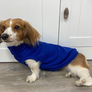 Royal Blue Mini Dachshund Knit T-shirt (measurements in item description)