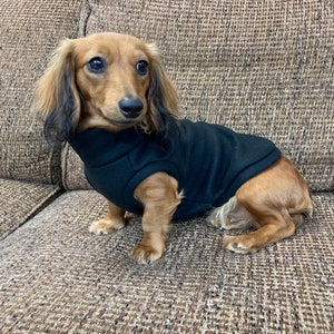 Black Mini Dachshund Fleece Sweater (measurements in item description)