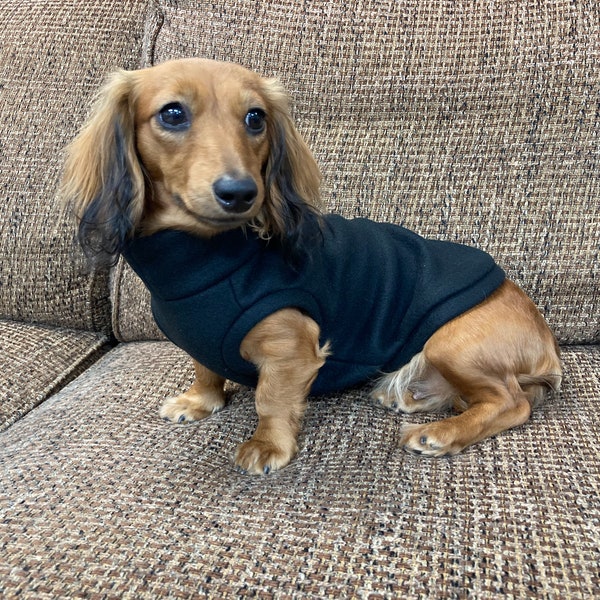 Miniature Dachshund Clothes - Etsy