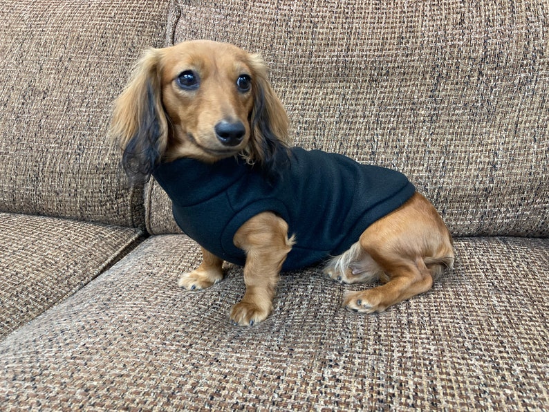 Black Mini Dachshund Fleece Sweater measurements in Item Etsy