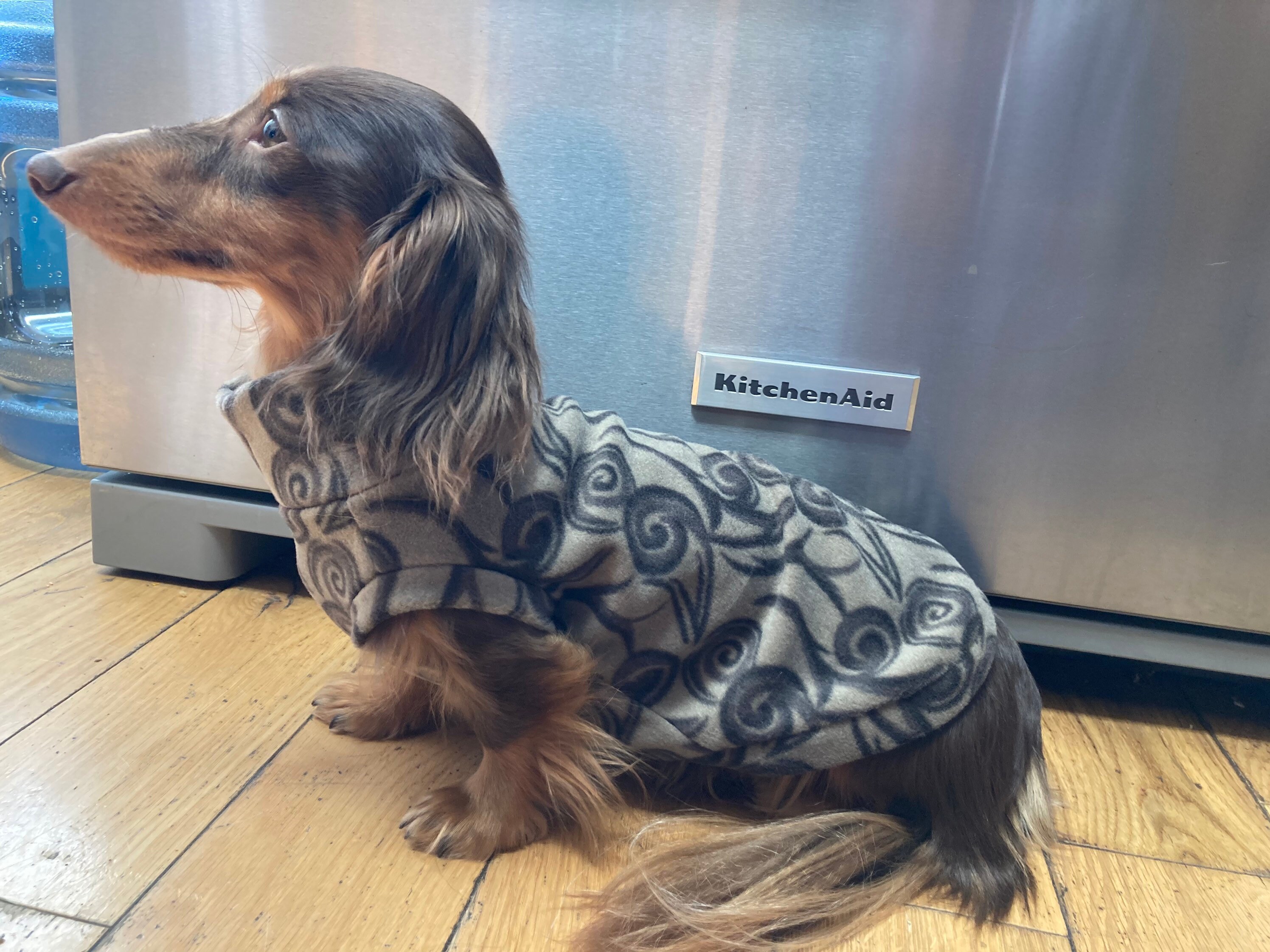 Brown Swirls Mini Dachshund Fleece Sweater measurements in Etsy