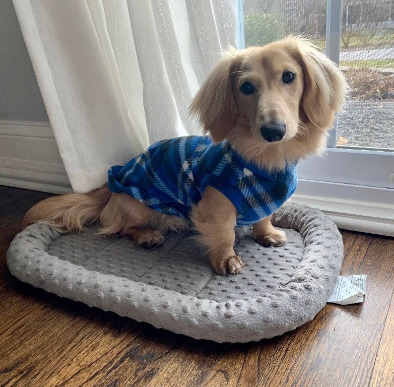Blue Plaid Mini Dachshund Fleece Sweater measurements in item Etsy