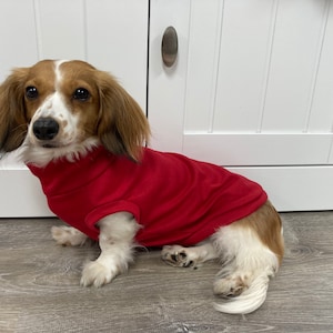 Red Mini Dachshund Knit T-shirt (measurements in item description)