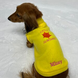 Personalized Little Sunshine Mini Dachshund Fleece Sweater (measurements in item description)