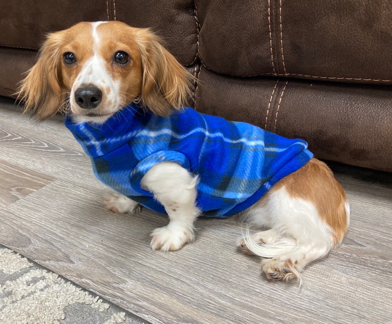 dachshund fleece sweater