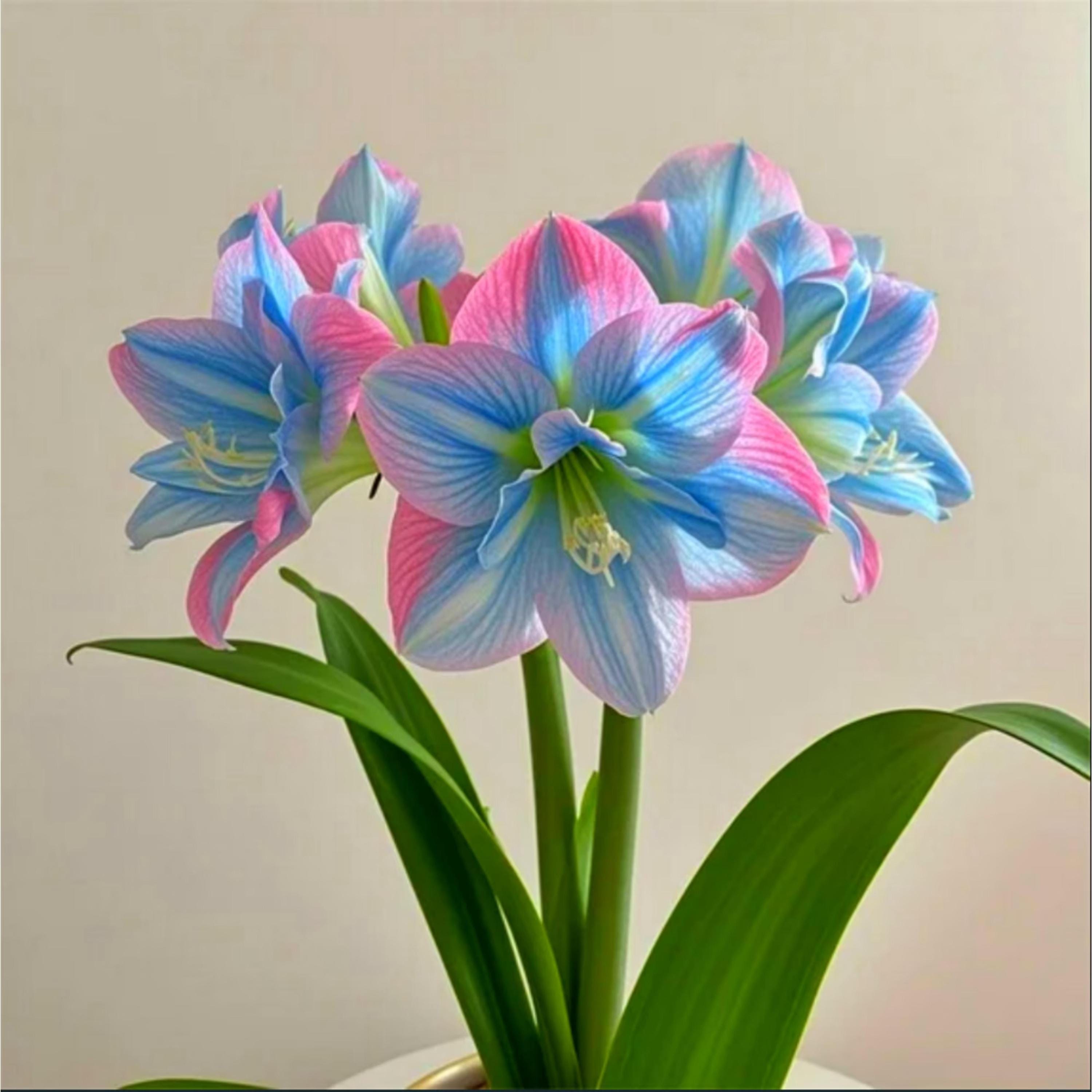 Wax amaryllis - Etsy 日本